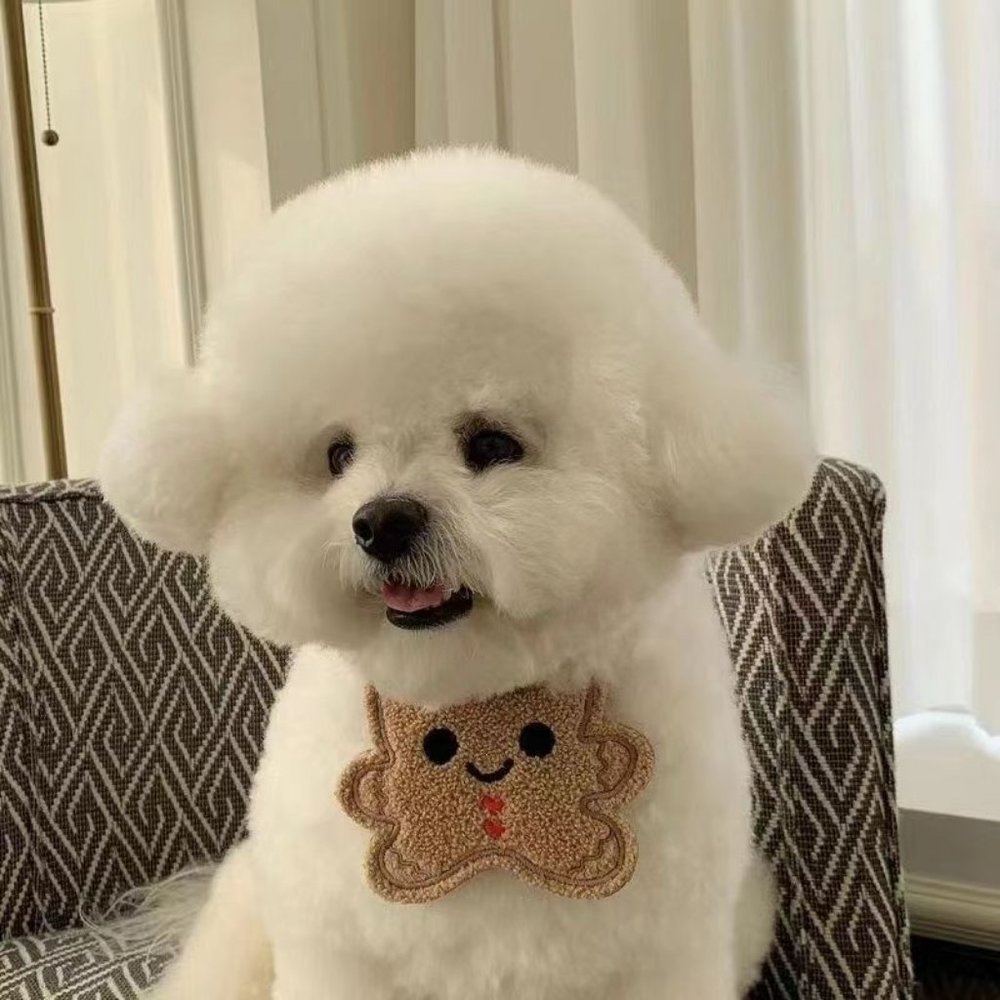 Pet Christmas scarf (rope length 79cm)